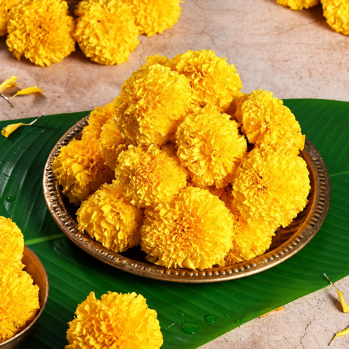 Marigold (Genda) Fresh Orange / Yellow/ Mix Assorted