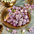 Madar Flower / Crown Flower ( Purple )