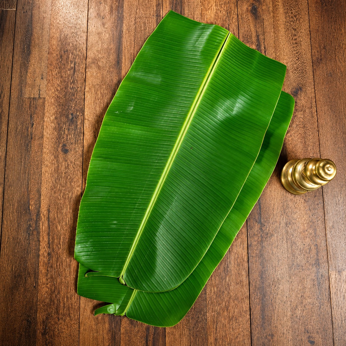 Fresh Banana Leaves