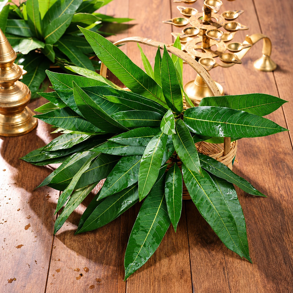 Fresh Mango Leaves
